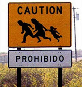 noncitizen criminal