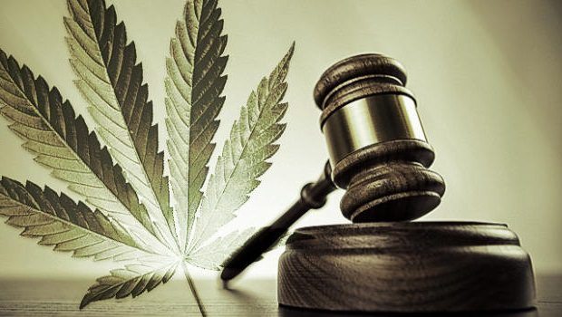 Marijuana Lawyer Springfield MO